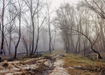 Мама велела ждать