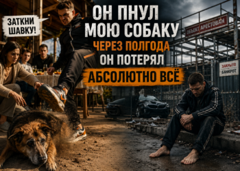 «ОН ПНУЛ МОЮ СОБАКУ И СКАЗАЛ: “УСЫПИ ЭТУ ТВАРЬ”. Через полгода он стоял босиком у закрытого павильона… и не понимал, как потерял ВСЁ»