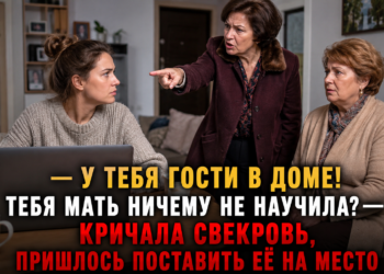 «ТЕБЯ МАТЬ НЕ ВОСПИТАЛА!» — КРИЧАЛА СВЕКРОВЬ. НО, УВИДЕВ, КОМУ НЕВЕСТКА ОТПРАВИЛА ОДНО СООБЩЕНИЕ, ОНА МГНОВЕННО ЗАМОЛЧАЛА