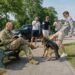 БАГАТІ МАЖОРИ ПОБИЛИ СОБАКУ МОВЧАЗНОГО ВЕТЕРАНА… АЛЕ ВЖЕ ЗА ХВИЛИНУ ЇХНІ ПОСМІШКИ ЗНИКЛИ